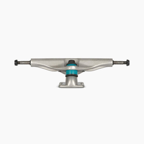 Bear - 180mm Polar Bear (RAW) (Set of 2)